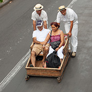 Carros de Cesto, Monte