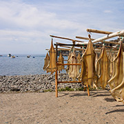 Câmara de Lobos