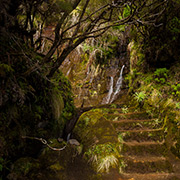 Levada walks