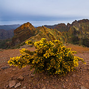 Pico do Arieiro