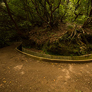 Levada walks