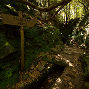 Levada walks